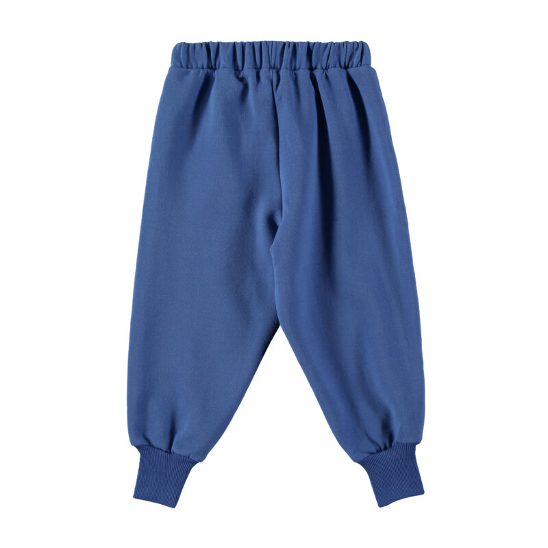 pants-pantalon-sunrise electric blue 2-l2458119_2
